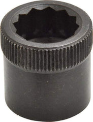 Holo-Krome - 3/4-10" Thread Uncoated Steel Allen Nut - 3/4" Diam, 3/4" Hex Key - USA Tool & Supply