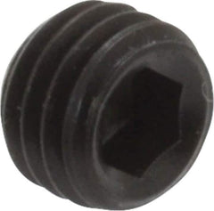 Holo-Krome - 1/4-28 UNF, 3/16" OAL, Cup Point Set Screw - Grade 8 Alloy Steel, 1/8" Key - USA Tool & Supply