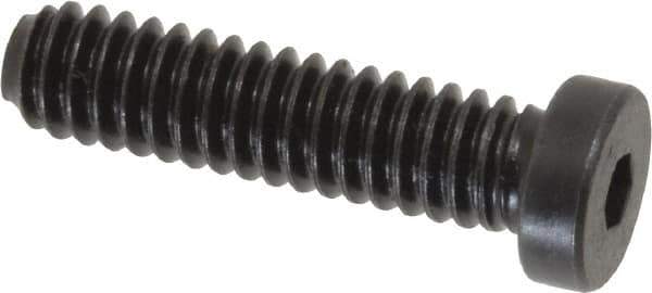 Holo-Krome - 1/4-20 UNC Hex Socket Drive, Low Socket Cap Screw - Alloy Steel, Black Oxide Finish, Fully Threaded, 1" Length Under Head - USA Tool & Supply
