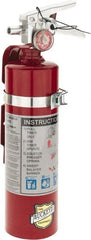 Buckeye Fire - 2.5 Lb, 1-A:10-B:C Rated, Dry Chemical Fire Extinguisher - USA Tool & Supply