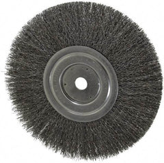 Weiler - 8" OD, 5/8" Arbor Hole, Crimped Steel Wheel Brush - 1/2" Face Width, 2-1/16" Trim Length, 0.0118" Filament Diam, 6,000 RPM - USA Tool & Supply