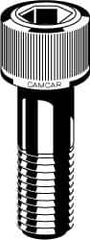 Camcar - 1/4-20 UNC Hex Socket Cap Screw - USA Tool & Supply
