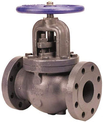 NIBCO - 2" Pipe, Flanged Ends, Iron Renewable Globe Valve - Bronze Disc, Bolted Bonnet, 500 psi WOG, 250 psi WSP, Class 250 - USA Tool & Supply