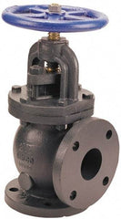 NIBCO - 2-1/2" Pipe, Flanged Ends, Iron Renewable Globe Valve - Bronze Disc, Bolted Bonnet, 200 psi WOG, 125 psi WSP, Class 125 - USA Tool & Supply