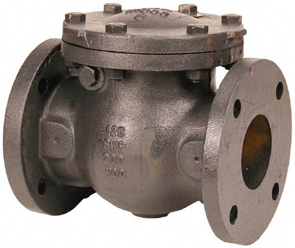 NIBCO - 5" Cast Iron Check Valve - Flanged, 200 WOG - USA Tool & Supply