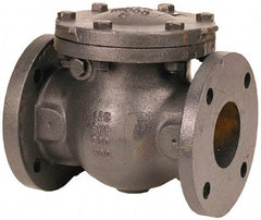 NIBCO - 2-1/2" Cast Iron Check Valve - Flanged, 200 WOG - USA Tool & Supply