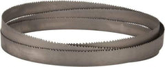Lenox - 4 to 6 TPI, 11' 6" Long x 1-1/4" Wide x 0.042" Thick, Welded Band Saw Blade - Bi-Metal, Toothed Edge, Raker Tooth Set, Flexible Back - USA Tool & Supply