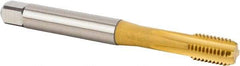 Kennametal - M10x1.50 Metric Coarse 6HX 4 Flute TiCN/TiN Finish Powdered Metal Straight Flute Machine Tap - Bottoming, Right Hand Thread, 100.1mm OAL, 15.1mm Thread Length, Oversize - Exact Industrial Supply