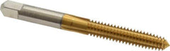 Hertel - 1/4-20 UNC H4 Thread Limit Plug Thread Forming Tap - High Speed Steel, TiN Finish, 2-1/2" OAL - Exact Industrial Supply