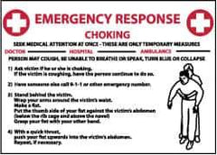 NMC - "Emergency Response - Choking", 10" Long x 14" Wide, Rigid Plastic Safety Sign - Rectangle, 0.05" Thick, Use for First Aid - USA Tool & Supply