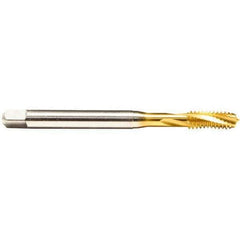 Emuge - M2x0.40 Metric 2 Flute 6H Bottoming Spiral Flute Tap - Cobalt, TiN Finish, 45mm OAL, Right Hand Flute, Right Hand Thread, Series Rekord D - USA Tool & Supply