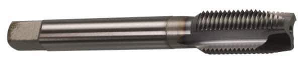 OSG - 5/16-24 UNF, 3 Flute, TiCN Finish, Powdered Metal Spiral Point Tap - Plug Chamfer, Right Hand Thread, 2-23/32" OAL, 1-1/8" Thread Length, 0.318" Shank Diam, Series 312 - Exact Industrial Supply