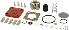 Tuthill - Repair Part Kit - For Use with Diaphragm Pumps - USA Tool & Supply