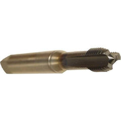 Emuge - M3x0.50 Metric Coarse 6HX 3 Flute TiCN Finish Cobalt Straight Flute Machine Tap - Modified Bottoming, Right Hand Thread, 56mm OAL, 11mm Thread Length, Oversize - Exact Industrial Supply