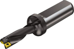Sandvik Coromant - 43mm Max Drill Depth, 3.03704xD, 13.5mm Diam, Indexable Insert Drill - 2 Inserts, 20mm Shank Diam, Flange Shank - USA Tool & Supply
