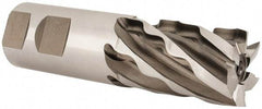 Weldon - 1-1/4" Diam, 2" LOC, 6 Flute High Speed Steel Roughing & Finishing Square End Mill - Uncoated, 4-1/2" OAL, 1-1/4" Shank Diam, Weldon Shank, 30° Helix, Non-Centercutting - USA Tool & Supply