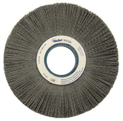 Weiler - 8" OD, 2" Arbor Hole, Crimped Nylon Wheel Brush - 1" Face Width, 2-1/4" Trim Length, 0.022" Filament Diam, 3,600 RPM - USA Tool & Supply