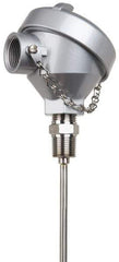 Thermo Electric - -148 to 900°F, 100 OMS Industrial RTD, Thermocouple Probe - 1/2 Inch Hex Mount, 12 Inch Probe Sheath Length, 10 Sec Response Time - USA Tool & Supply