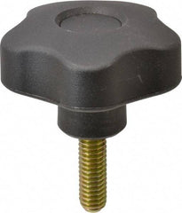 Elesa - 1.97" Head Diam, 5 Point Lobed Knob - 5/16-18 Stem, Thermoplastic, Black - USA Tool & Supply