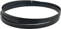 Starrett - 6 TPI, 7' 9" Long x 3/4" Wide x 0.032" Thick, Welded Band Saw Blade - Carbon Steel, Toothed Edge, Raker Tooth Set, Flexible Back, Contour Cutting - USA Tool & Supply