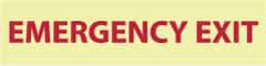 NMC - Emergency Exit, Pressure Sensitive Vinyl Exit Sign - 12" Wide x 3" High, Glow-in-the-Dark - USA Tool & Supply