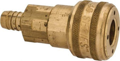 Parker - Hose Barb Industrial Pneumatic Hose Coupler - Brass, 1/2" Body Diam, 1/2" Hose ID - USA Tool & Supply