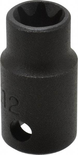 Proto - 3/8" Drive Impact Socket - 1-1/4" OAL - USA Tool & Supply