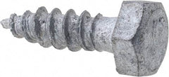 Value Collection - 1/4" Screw, 1" Length Under Head, Steel, Hex Head Lag Screw - Hot Dipped Galvanized, Grade 2 - USA Tool & Supply