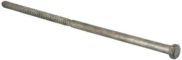 Value Collection - 1/2" Screw, 14" Length Under Head, Steel, Hex Head Lag Screw - Hot Dipped Galvanized, Grade 2 - USA Tool & Supply
