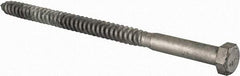 Value Collection - 5/8" Screw, 10" Length Under Head, Steel, Hex Head Lag Screw - Hot Dipped Galvanized, Grade 2 - USA Tool & Supply