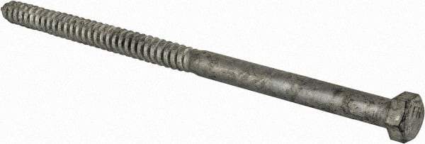 Value Collection - 5/8" Screw, 12" Length Under Head, Steel, Hex Head Lag Screw - Hot Dipped Galvanized, Grade 2 - USA Tool & Supply