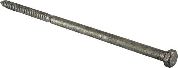 Value Collection - 5/8" Screw, 16" Length Under Head, Steel, Hex Head Lag Screw - Hot Dipped Galvanized, Grade 2 - USA Tool & Supply