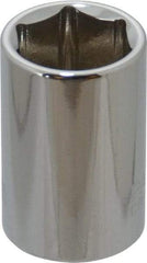 Paramount - 1/2" Drive, Standard Hand Socket - 6 Points, 1-1/2" OAL, Steel, Chrome Finish - USA Tool & Supply