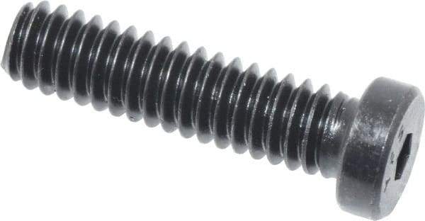 Value Collection - 1/4-20 UNC Hex Socket Drive, Low Socket Cap Screw - Alloy Steel, Black Oxide Finish, Fully Threaded, 1" Length Under Head - USA Tool & Supply
