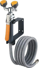 PRO-SAFE - Plumbed Drench Hoses Mount: Wall Style: Dual Spray Head - USA Tool & Supply