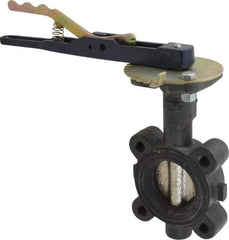 NIBCO - 2" Pipe, Lug Butterfly Valve - Lever Handle, Ductile Iron Body, EPDM Seat, 250 WOG, Ductile Iron Disc, Stainless Steel Stem - USA Tool & Supply