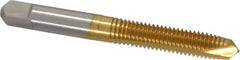 Hertel - M8x1.25 Metric Coarse, 2 Flute, TiN Finish, High Speed Steel Spiral Point Tap - Plug Chamfer, Right Hand Thread, 2-23/32" OAL, 1-1/8" Thread Length, 6H Class of Fit - Exact Industrial Supply