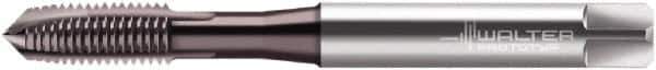 Walter-Prototyp - #5-40 UNC 3 Flute 2B Plug Spiral Point Tap - High Speed Steel, Hardlube Finish, Right Hand Thread, Series AEP2221002 - Exact Industrial Supply