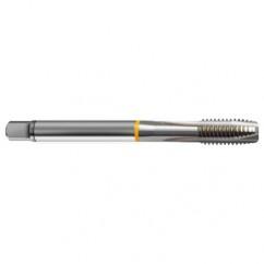 42377 2B 4-Flute Cobalt Yellow Ring Spiral Point Plug Tap-Bright - USA Tool & Supply