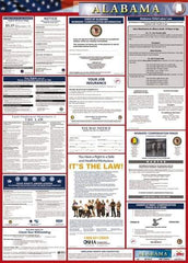 NMC - 24" Wide x 40" High Laminated Paper Labor Law Information Poster - Alabama Jurisdiction, 0.03" Thick, English - USA Tool & Supply