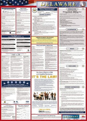 NMC - 24" Wide x 40" High Laminated Paper Labor Law Information Poster - Delaware Jurisdiction, 0.03" Thick, English - USA Tool & Supply