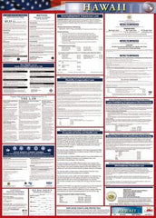 NMC - 24" Wide x 40" High Laminated Paper Labor Law Information Poster - Hawaii Jurisdiction, 0.03" Thick, English - USA Tool & Supply