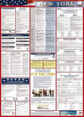 NMC - 24" Wide x 40" High Laminated Paper Labor Law Information Poster - New York Jurisdiction, 0.03" Thick, English - USA Tool & Supply