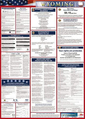 NMC - 24" Wide x 40" High Laminated Paper Labor Law Information Poster - Wyoming Jurisdiction, 0.03" Thick, English - USA Tool & Supply