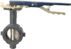 NIBCO - 2" Pipe, Wafer Butterfly Valve - Lever Handle, Ductile Iron Body, Buna-N Seat, 250 WOG, Ductile Iron Disc, Stainless Steel Stem - USA Tool & Supply