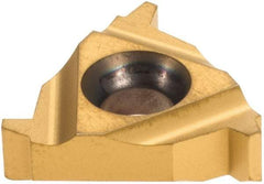 Iscar - 16ER External Right Hand 10 Acme Laydown Threading Insert - Grade IC250, TiCN/TiN Coated Carbide, 9.53mm Inscribed Circle - USA Tool & Supply