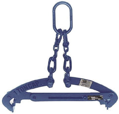 Caldwell - 2,000 Lb Load Capacity, Drum Grab - USA Tool & Supply