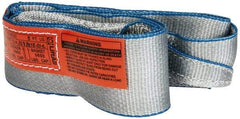Lift-All - 5' Long x 3" Wide, 4,800 Lb Vertical Capacity, 1 Ply, Polyester Web Sling - 3,800 Lb Choker Capacity - USA Tool & Supply
