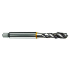 ‎M3.5 × 0.6 3FL 6H Cobalt Spiral Flute Semi-Bott Ylw Ring Tap-Bright-40 Degree Helix - USA Tool & Supply