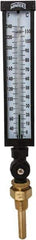 Winters - 30 to 240°F, Industrial Thermometer with Standard Thermowell - 3 Inch Immersion Length, 3-1/2 Inch Stem Length, 17 Inch Long, 3/4 Inch Thread - USA Tool & Supply